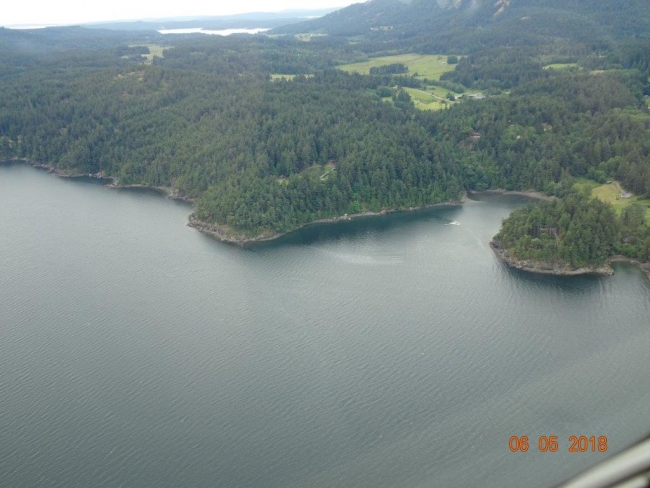 An oil sheen in a cove.