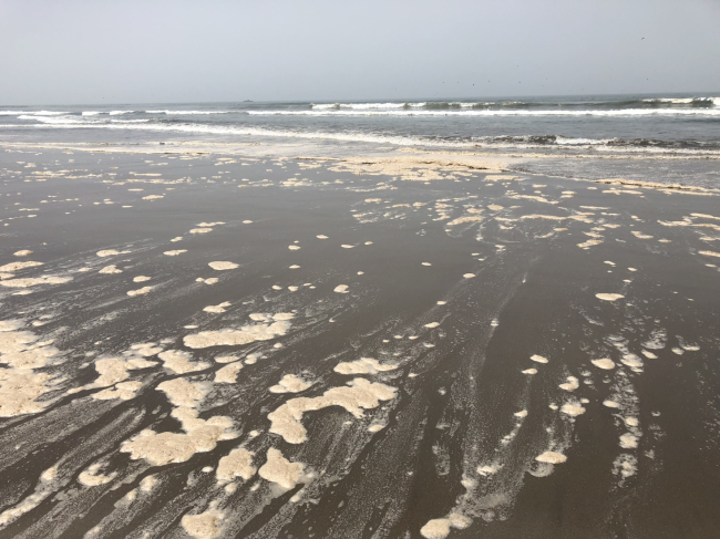 Oil on a beach.