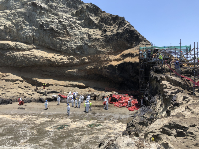 Cleanup workers on a beach.