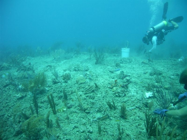 A diver with a bucket underwater on the sea floor. 