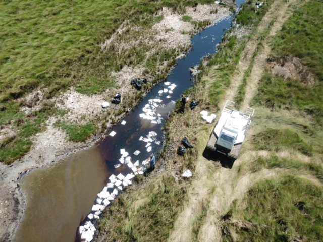 An oiled marsh area.