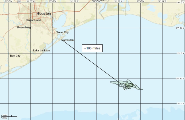 Map showing the relative location of the anomalies, produced on April 26, 2024, for the discharge of natural gas condensate on April 20, 2024. The offshore outlines are for four different observations from April 20-24. The discharges happened at a distance about 100 miles from Galveston, Texas.