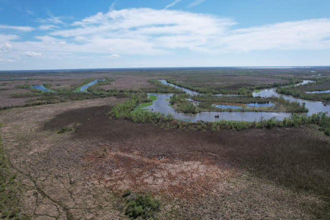 Aerial image of crude oil spilled into marshland.