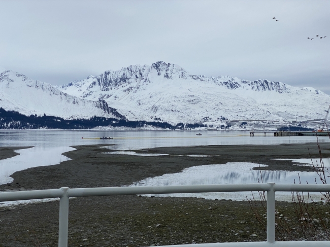 Pollution boom in water with snow-covered mountains in the background.