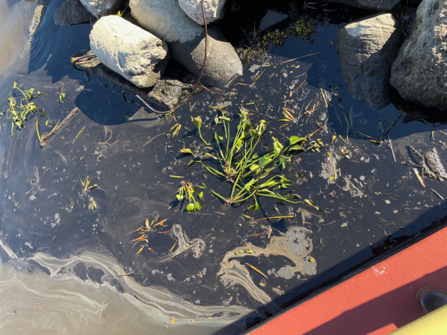 Oil in sand.