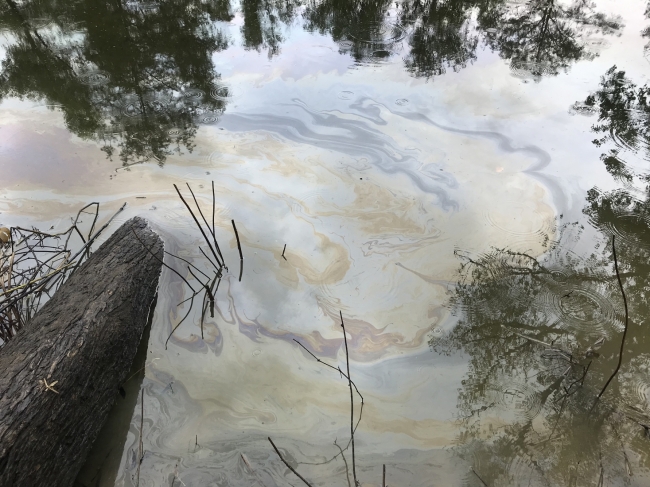 An oil sheen in water. 