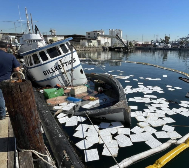 Sorbent pads around a sunken vessel.