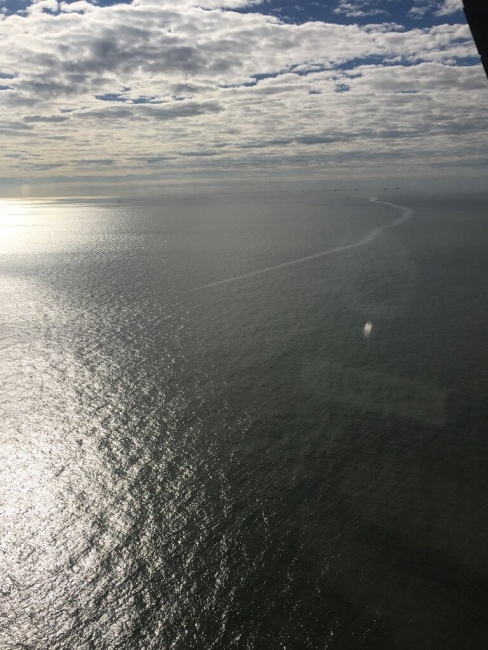 A landscape shot of water with an oil sheen on it. 