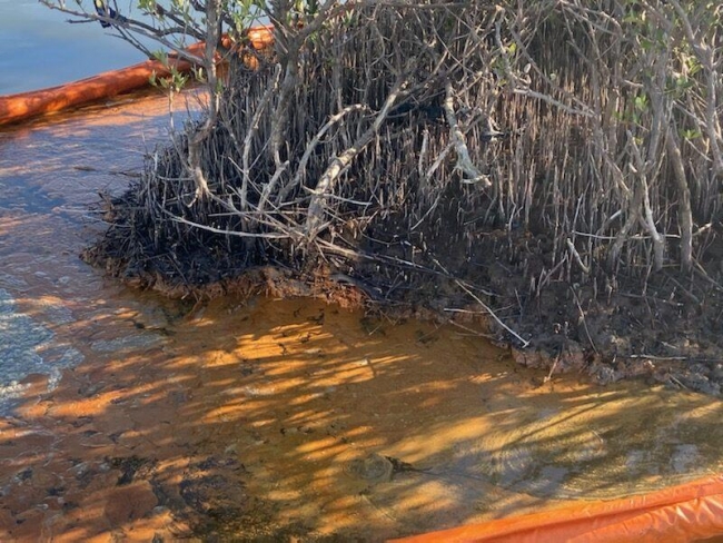 An orange looking substance sits on the surface of a body of water surrounded by pollution boom. 