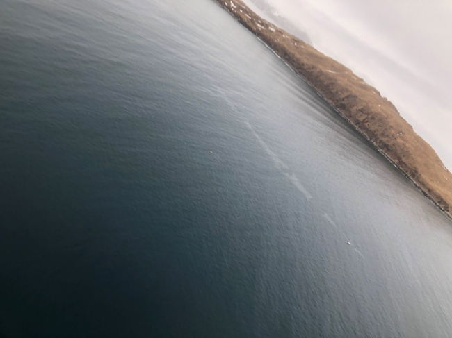 An oil sheen near land as seen from the air. 