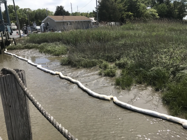 Pollution sorbent in water with a building in the background.