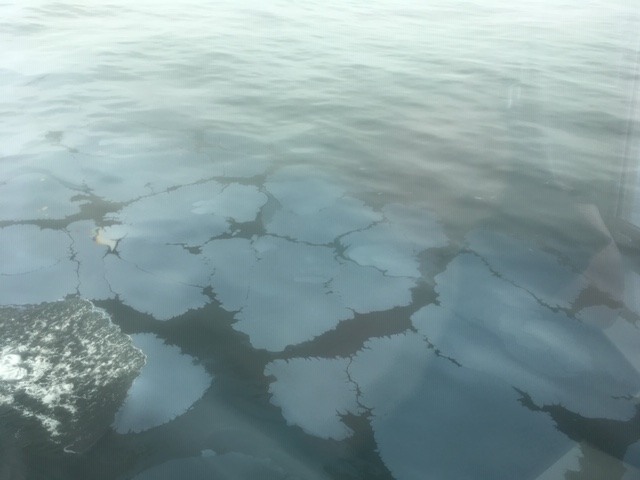 An oil sheen in water. 