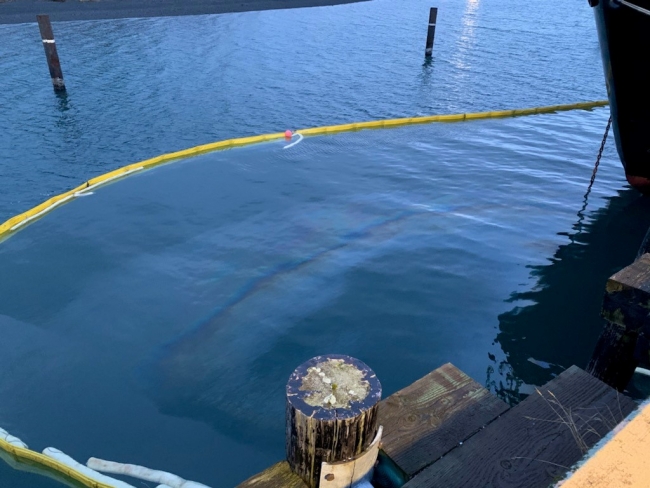 An oil sheen in pollution boom.