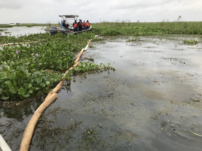A boat and pollution boom in a marsh area. 