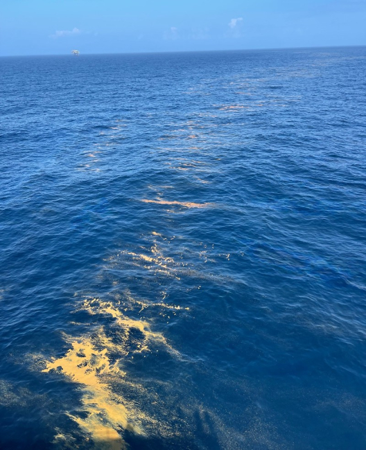 Oil in water.