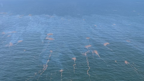 An aerial image of oil in water.