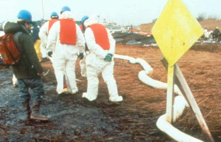 Cleanup workers on a shoreline.