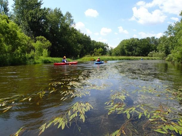 Kayakers on a river.