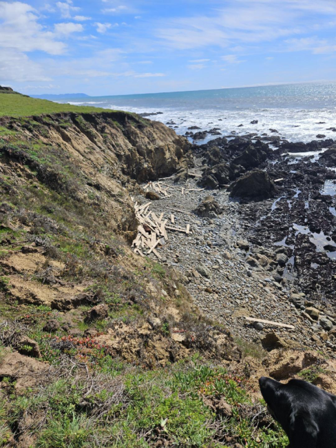 Lumber debris washed ashore and scattered along a rock California coastline.