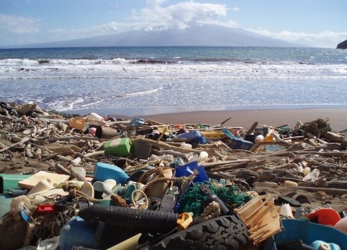 Marine debris on a beach.