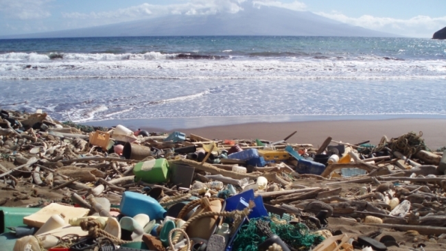 A beach littered with garbage. 
