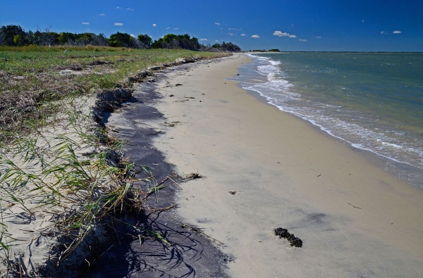 A beach.