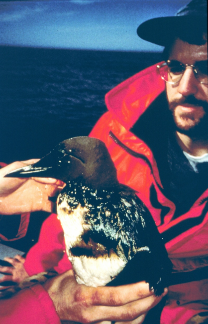 A man holding a sea bird. 