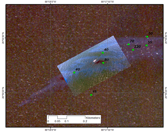 A blurry dark image with a white rectangle and several green dots visible. 