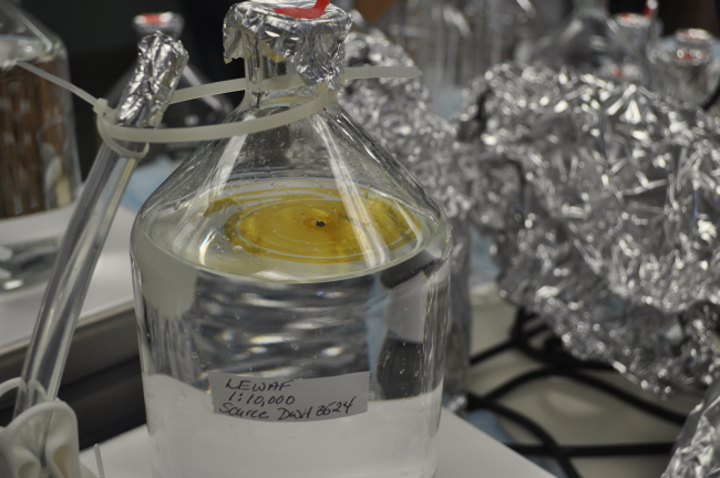 A beaker of a clear liquid with a darker, yellow liquid floating on the surface. 