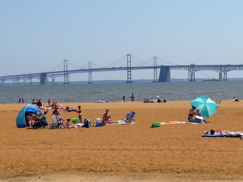 A beach.