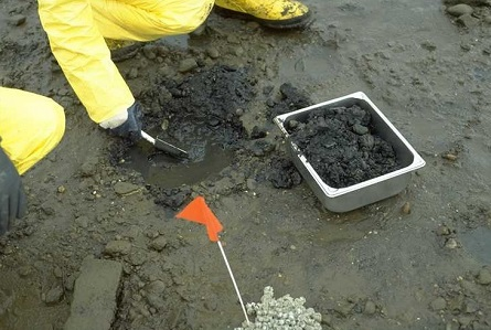 A person grabbing a sediment sample.