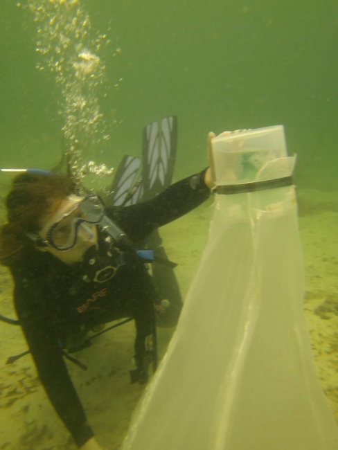 A scuba diver. 