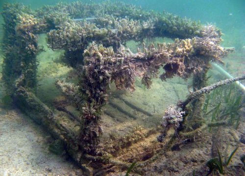 A derelict lobster trap sitting on the seafloor covered in plant life.
