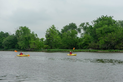 Two kayakers on a river. 