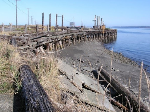 A view of the beach near a road with logs scattered along the ground.