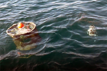 A device in water.
