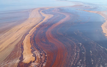 Oil and oil sheen on water. 