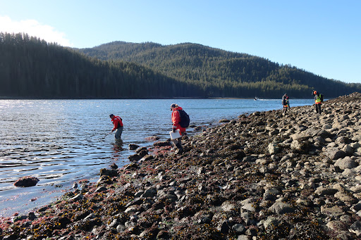 People on a shoreline.