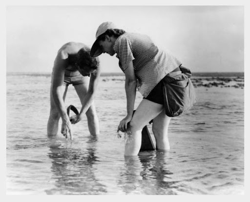 Two people standing in water. 