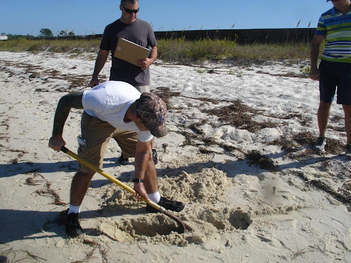 A person shoveling on a beach.