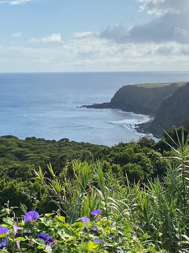 A landscape image.