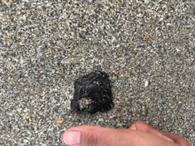A person rests their finger next to a tarball on a beach to estimate the size.
