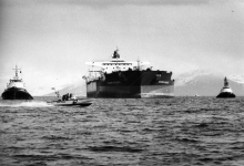 A larger vessel surrounded by other smaller vessels. 