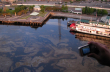 Oil in water.