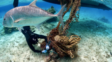 A diver reaching toward fish netting.