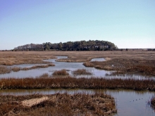 A landscape with water flowing through it and trees in the background.