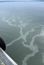 Aerial image of observed fuel streams from a sunken fishing vessel in Grays Harbor, Washington.