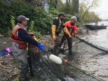 A man overseeing a group of people working with netting on a shoreline.