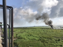 A plume of smoke in a field of green. 