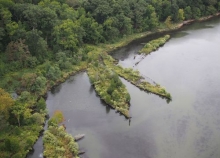 An aerial view of a green shoreline area. 